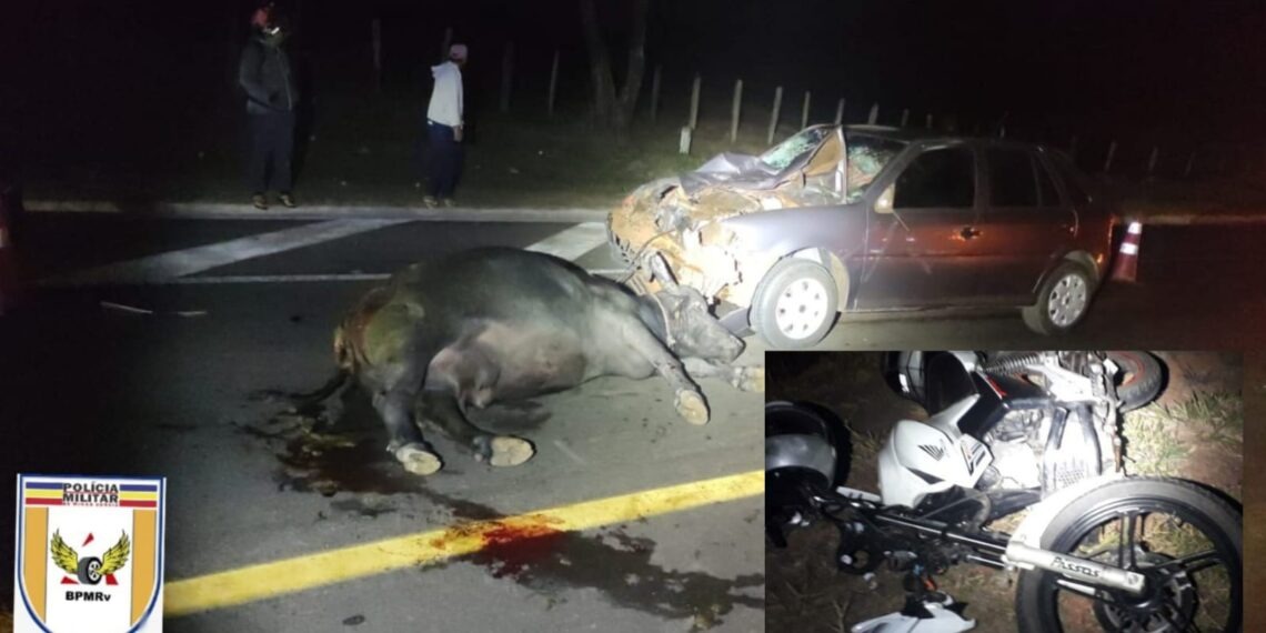 Búfalos na pista causam dois acidentes na MG-050 em Passos